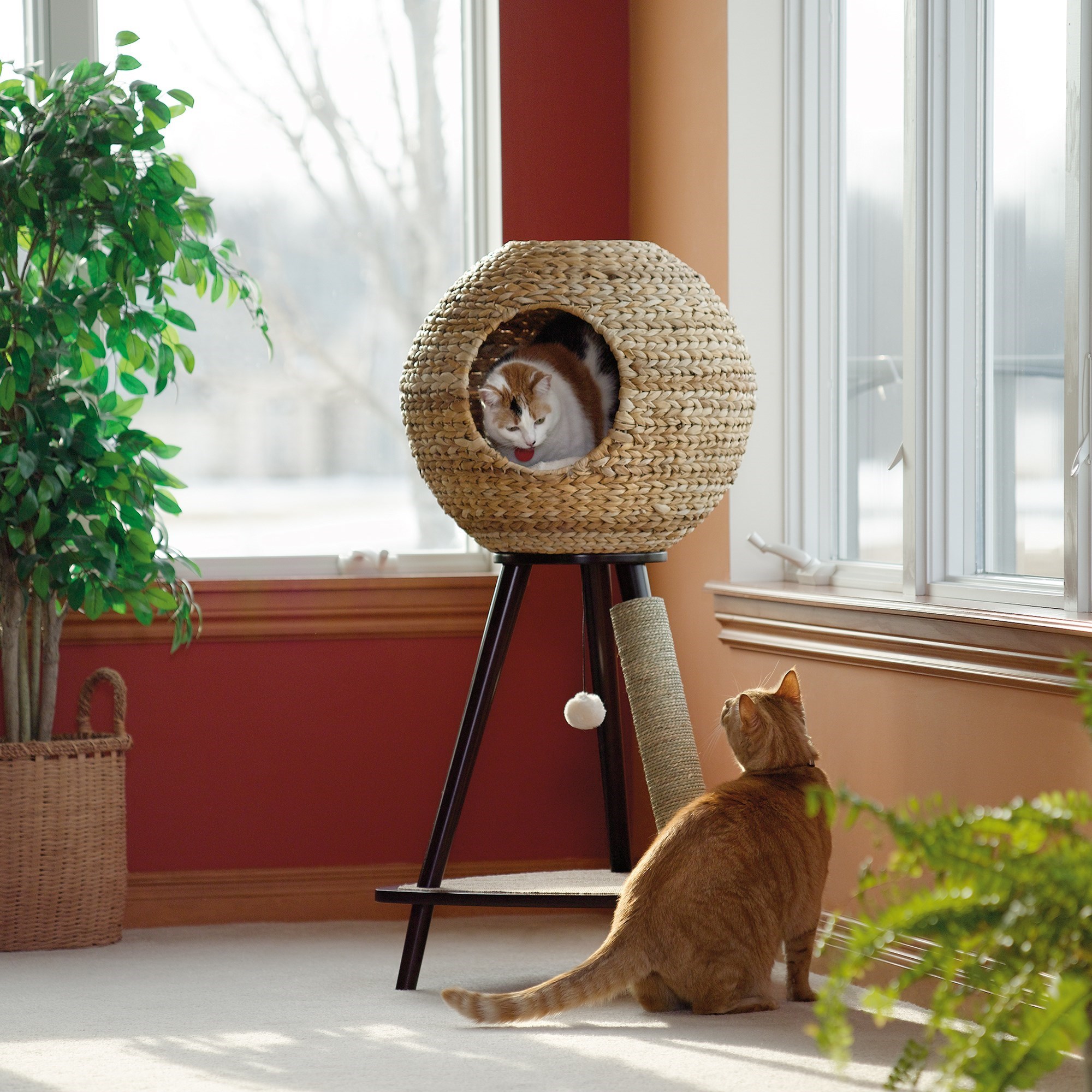 Natural sphere outlet cat tower